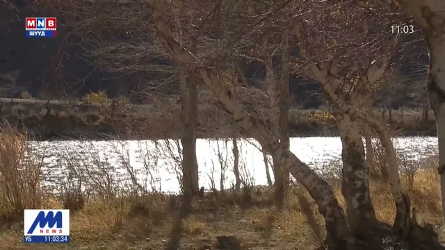 Ихэнх нутгаар өнөөдөр өдөртөө дулаахан байна