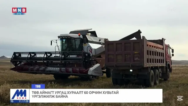 Төв аймагт ургац хураалт 60 орчим хувьтай үргэлжилж байна