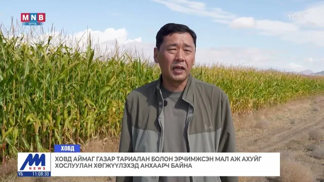 Ховд аймаг газар тариалан болон эрчимжсэн мал аж ахуйг хослуулан хөгжүүлэхэд анхаарч байна