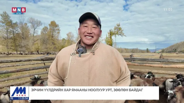 Эрчим үүлдрийн хар ямааны ноолуур ур, зөөлөн байдаг