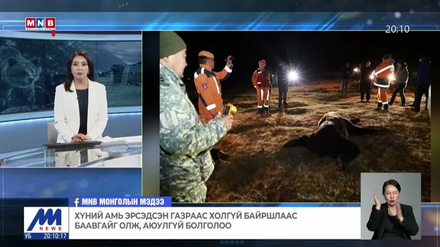 Хүний амь эрсэдсэн газраас холгүй байршлаас баавгайг олж, аюулгүй болголоо
