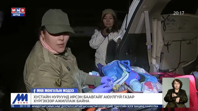 Хустайн нуруу орчимд хүрэн баавгай үзэгджээ