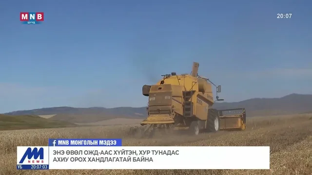 2026 оны ургац хураалтын ажил 5-10 хоног хоцорч эхэлжээ
