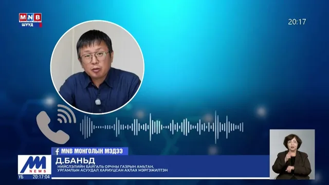 НБОГ: Нийслэл орчимд хүрэн баавгай үзэгдсэн гэх 10 гаруй дуудлага ирсэн байна